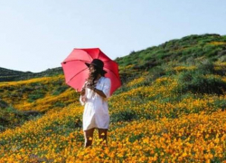 В среду в Молдове сохранится жаркая погода без осадков 