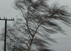 Во вторник на Молдову обрушится похолодание и штормовой ветер 