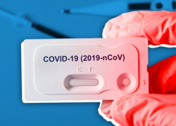 В Молдове выявлено 242 новых случая COVID-19