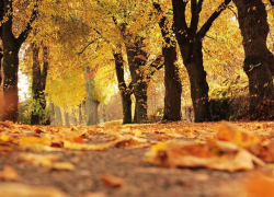 Октябрь порадует жителей Молдовы еще одним теплым и солнечным днем – погода на субботу 