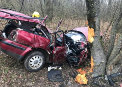Две малолетние девочки остались круглыми сиротами вследствие страшного ДТП в Окнице