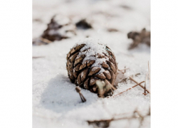 Во вторник в Молдове ожидается снег и ветер 