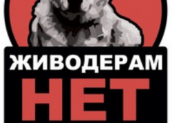 Соцсети: В столичном секторе Ботаника орудует живодер