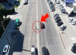 Полиция за несколько дней оштрафовала 490 пешеходов