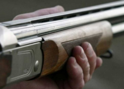 Пьяный мужчина застрелил собаку, но его будут судить только за применение оружия