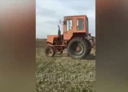 Видео: пьяный тракторист удирал на своем железном коне от приднестровских милиционеров