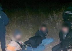 Четверо сирийцев с видом на жительство в Молдове пытались незаконно проникнуть в Румынию: вторая попытка 