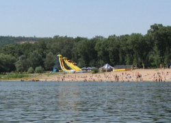 В Вадул-луй-Водэ неизвестные отстреливают собак