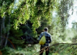 Совершившего суицид из-за несчастной любви молдавского студента нашли в Румынии
