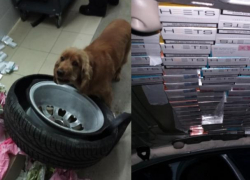 В ПМР умный пес обнаружил крупную партию контрабанды