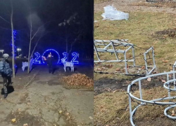 Какое наказание ждет вандалов, уничтоживших новогоднюю инсталляцию в Рышканах 