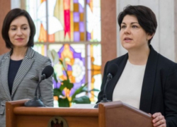 Гаврилицэ 2.0 - система зависла из-за решения КС