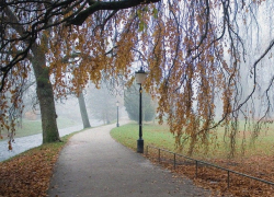 В воскресенье в Молдове будет пасмурно 