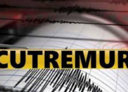 9 землетрясений за последние часы зарегистрировали сейсмологи