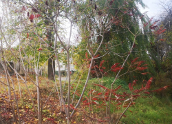 В понедельник в Молдове будет солнечно, но прохладно 