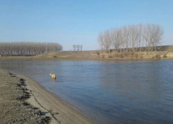 В Молдову пришло долгожданное тепло 