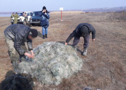 Пограничная полиция задержала браконьеров, «нарыбачивших» 45 кг рыбы