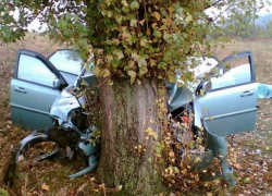 Семейная пара из Молдовы погибла в ДТП на территории Болгарии