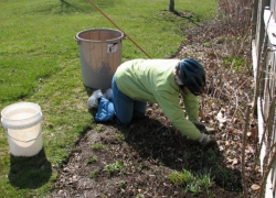 В воскресенье будет ветрено, объявлен желтый код метеоопасности 