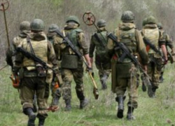 В молдавском селе обнаружили схрон с 64 минометными снарядами времен Великой Отечественной войны