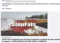 Facebook удалил сотни агитационных профилей, связанных с правительством Молдовы