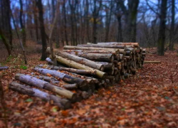 Румыния пообещала Молдове дрова, но что-то не сложилось…