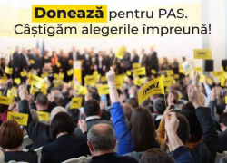 Им законы нипочем: ПДС начала сбор денег для выборов задолго до регистрации в ЦИК  