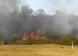 Вчера у Леушенской таможни бушевал сильный пожар