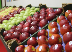 Пока фермеры выкидывают яблоки, в Молдове они продолжают дорожать