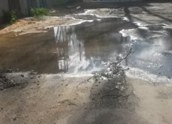 Ботаника сегодня частично осталась без воды