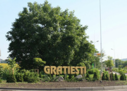 Шок! Собаку повесили на дереве в пригороде Кишинева (18+)