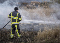 За последние 24 часа произошло 56 пожаров растительности