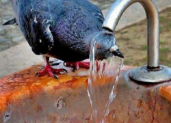 Суббота в Молдове будет очень жаркой 