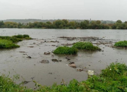 Василий Костюк: Экологическая катастрофа на Днестре - это правда, это факт, воды уже практически нет