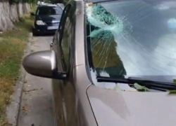 В Кишиневе упавшая ветка разбила лобовое стекло двигавшегося автомобиля