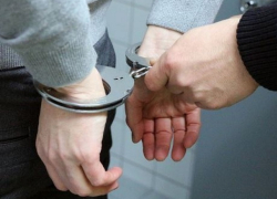 Живодер, отрезавший голову собаке, задержан полицией