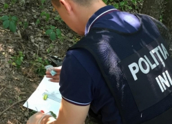 Обезврежена преступная группа, торговавшая наркотиками через Telegram