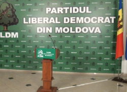 Срочно: ПЛДМ выдвинула своего кандидата на президентские выборы