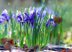 В четверг в Молдове будет сыро и ветрено 