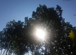 Жаркие выходные: в Молдове ожидается до +33 °C