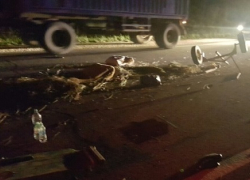 В аварии с телегой у Пересечина пострадал ребенок