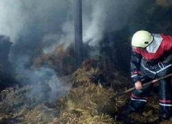 Гибель в огне 250 коров предотвратили пожарные в Теленештском районе