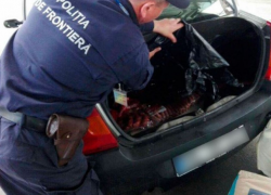 Бойцы спецназа «Fulger» приняли участие в задержании контрабандистов