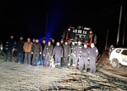 Полицейские и спасатели нашли двух мальчиков, потерявшихся в лесу