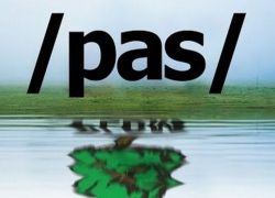 ЛДПМ предъявляет претензии ЦИК в том же императивном тоне, что и PAS