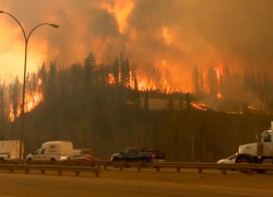 Соболезнования португальскому коллеге выразил президент Молдовы 