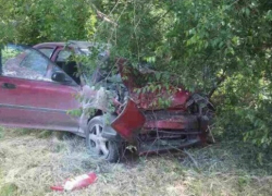 Водитель Honda чудом уцелел после ДТП с деревом в Кишиневе 