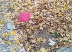 В Кишиневе женщина провалилась в замаскированный канализационный колодец