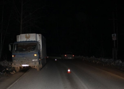 Женщина погибла под колесами грузовика на трассе у Кишинева