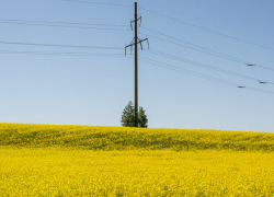 Во вторник в Молдове потеплеет 